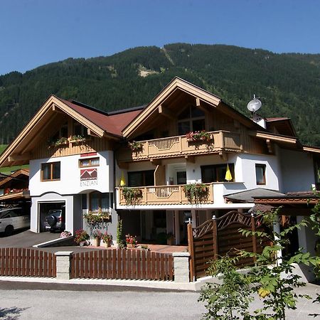 Appartements Enzian Финкенберг Экстерьер фото